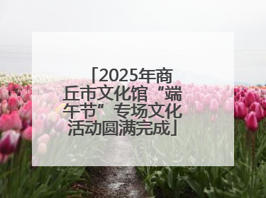2025年商丘市文化馆“端午节”专场文化活动圆满完成